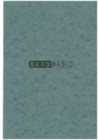 Τετράδιο Skag Basic Πρεσπάν Ριγέ A4 40 Φύλλα  277181-7 Γκρι